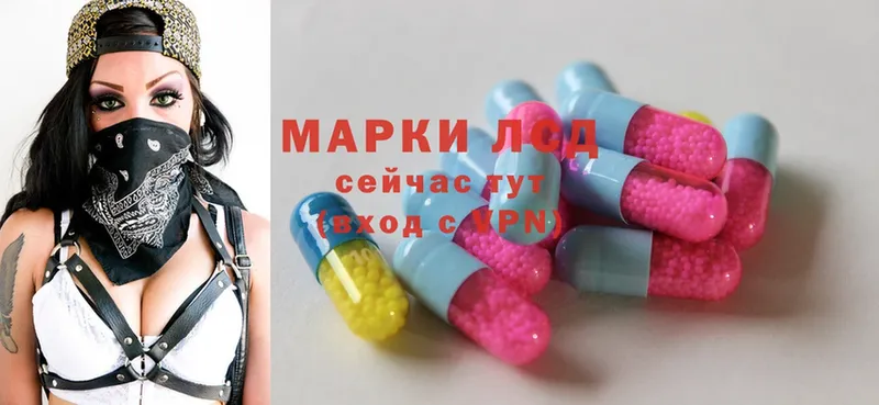 ЛСД экстази ecstasy  купить   Гусев 